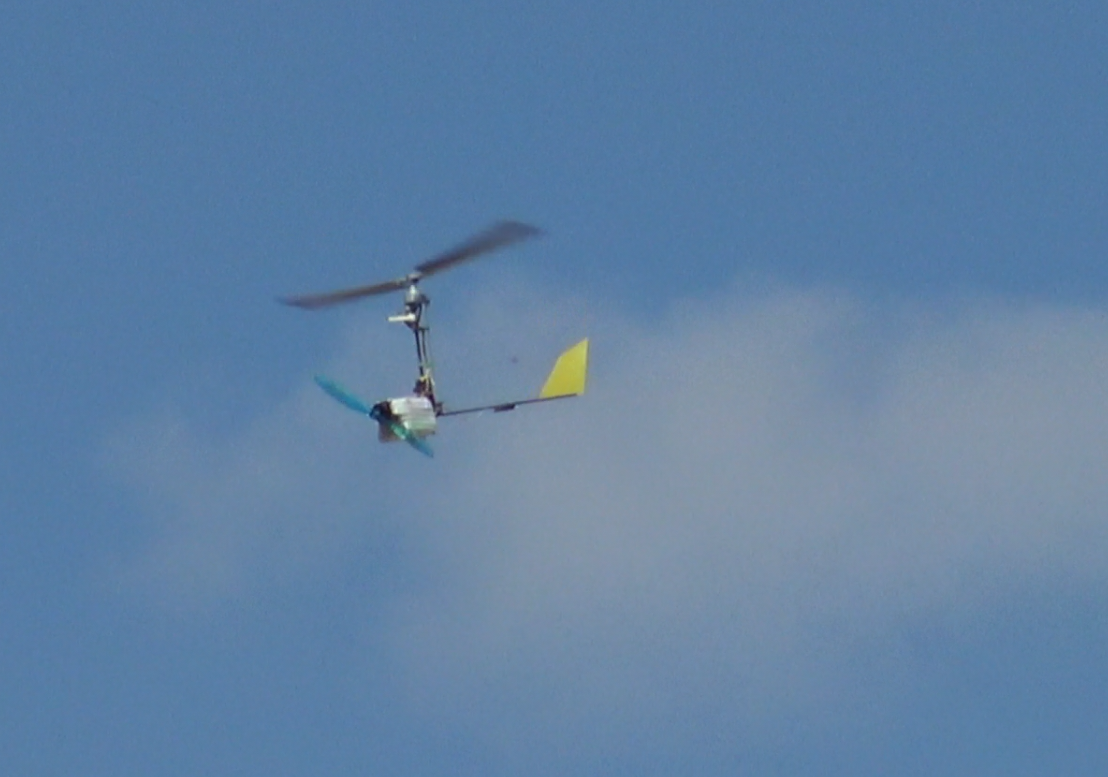 TF-G250 during flight